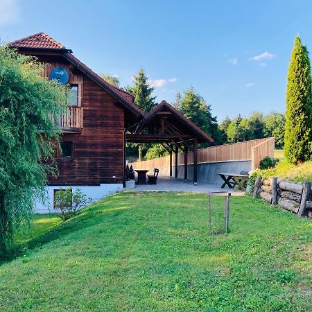 Family House Villa Mozirje Dış mekan fotoğraf