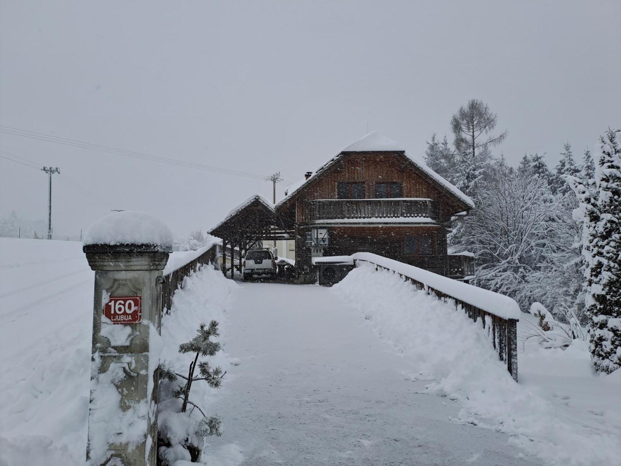 Family House Villa Mozirje Dış mekan fotoğraf